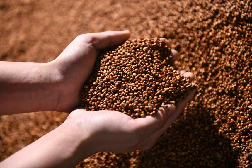 下沙和造沙,您真的分得清吗?