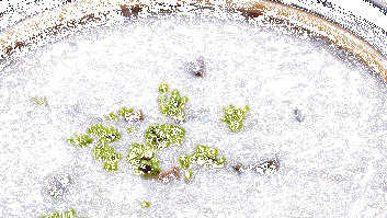 喝酒千杯不醉的土方法(喝酒千杯不醉的小偏方)